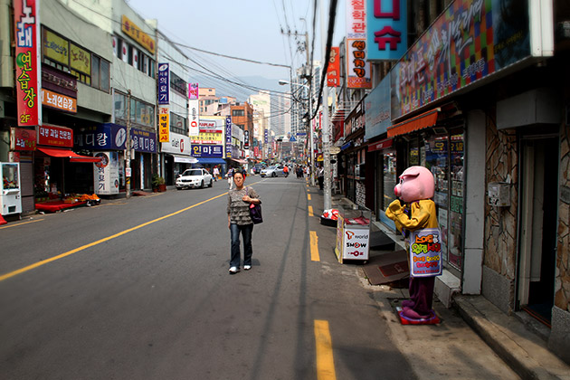 Flying Pigs Korea