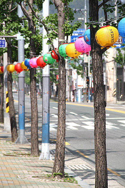 Busan Blog