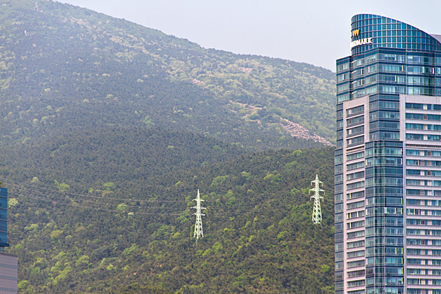 Nature Contrast Busan