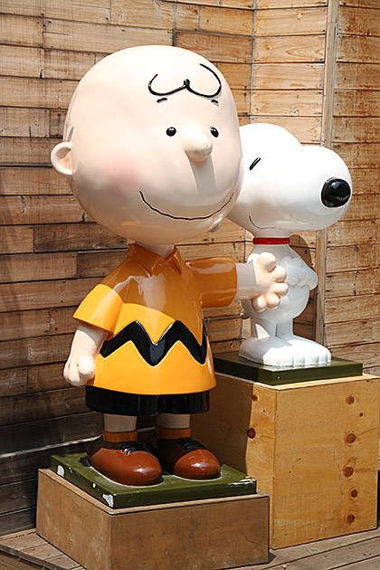 Snoopy And Charlie Brown
