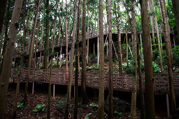 The Grand Children's Park 31 Ewoks Busan