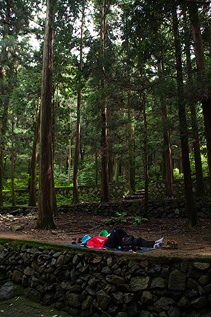 The Grand Children's Park 29 Nap time in Busan