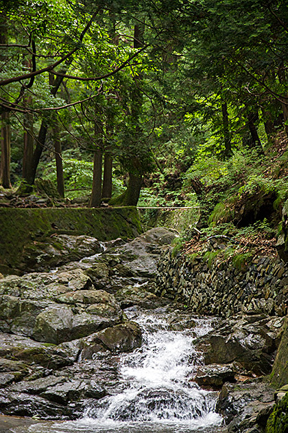 The Grand Children's Park 33 Water Run Busan
