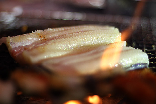 Korean Eel