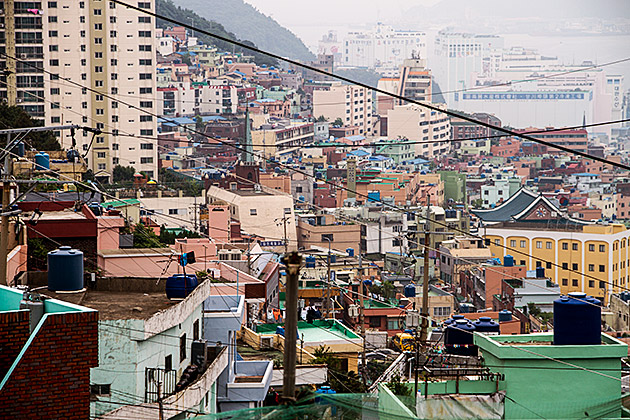 Crazy Busan