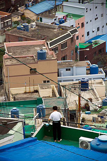 Lost in Translation Busan