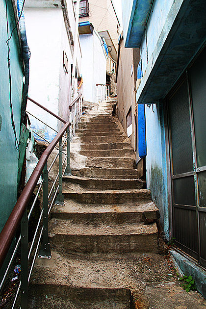 Photographer Busan