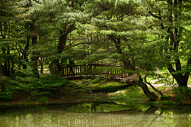 Busan Nature