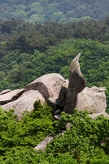 Cobra Stone Busan