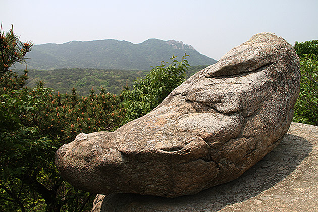 Hiking in Busan