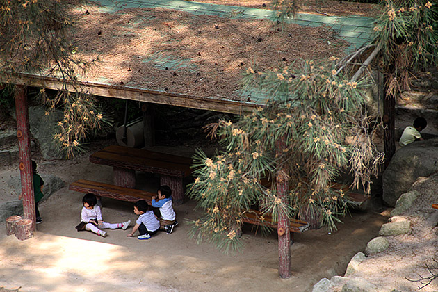 Kids Playing