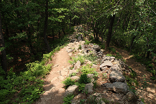 Old Wall Hike