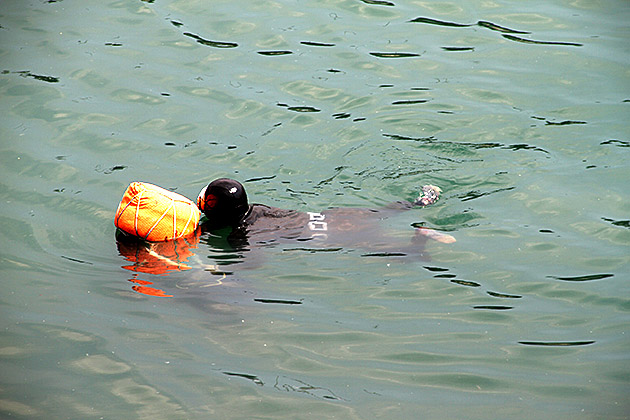 Diving for Algees