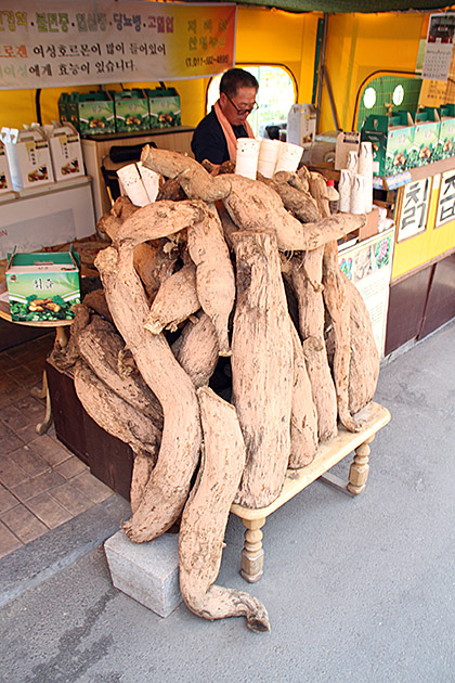 Selling Roots