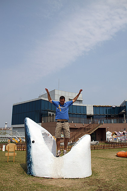 Shark Attack in Busan