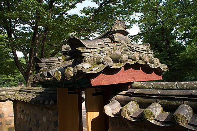 Gyerim Forest Gyeongju