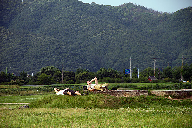 Hot Korean Summer