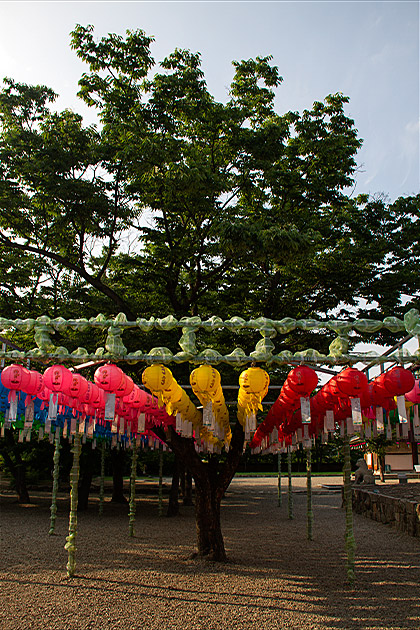 Lantern Gyeongju