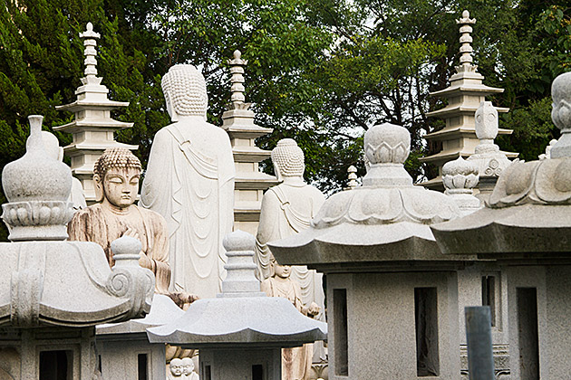 Lost Buddha