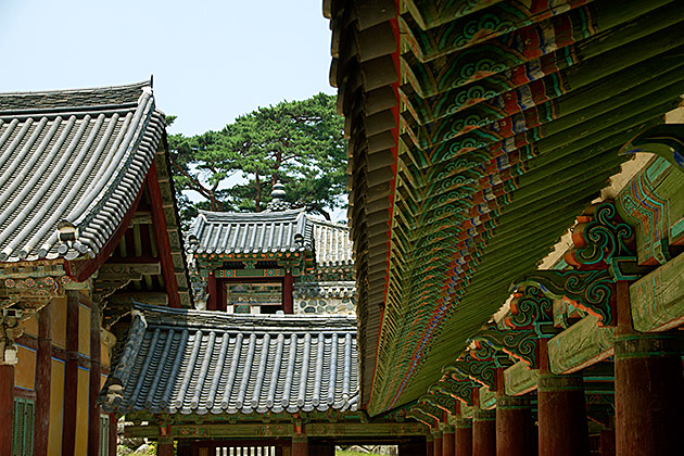 Korea Tour