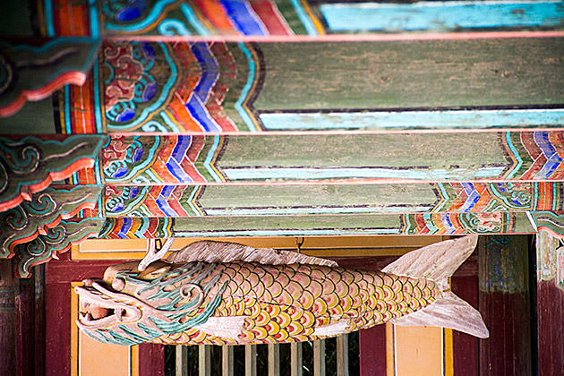 Korean Bell Fish