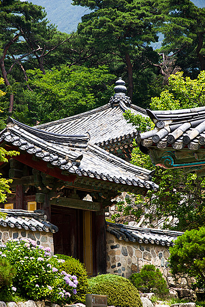 Photo Blog Korea