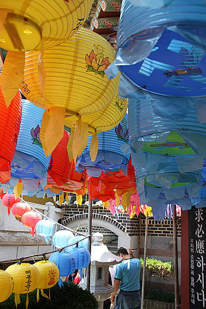 Blue T Shirt Lantern