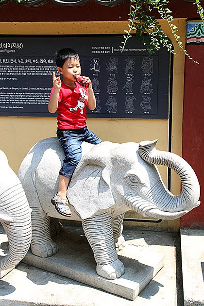 Elephant Boy
