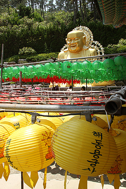 Hidden Buddha