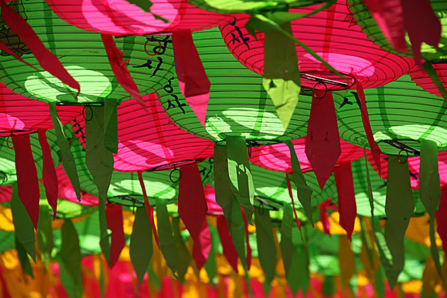 Lotus Lantern Busan