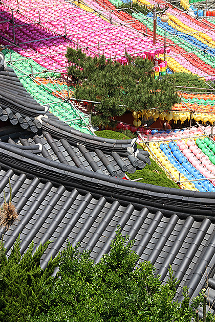 Temple Roof Busan