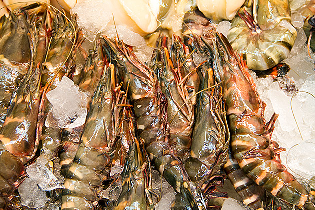Super Fresh Seafod Korea