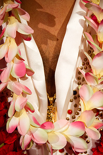 Elvis Chest Hair