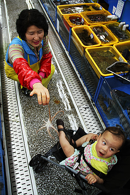 Octopus Toddler
