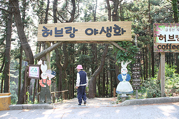 Bunny Coffee Shop