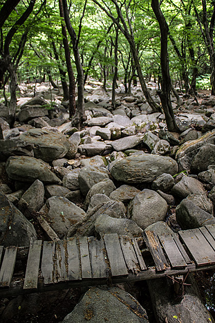 Hikingi n Busan