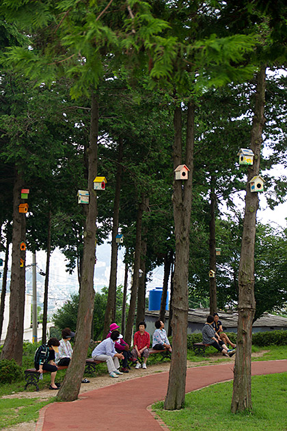 Bird House Korea