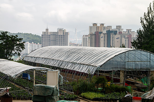 Inner Village Busan