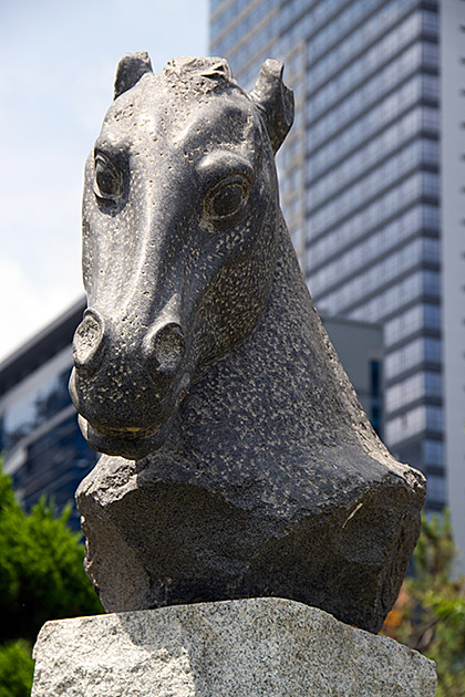 Horse Busan