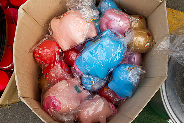 Plastic Pig