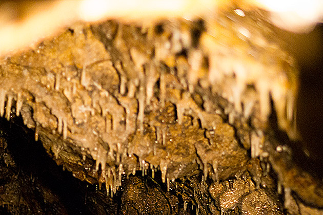 Drip Cave Bsuan
