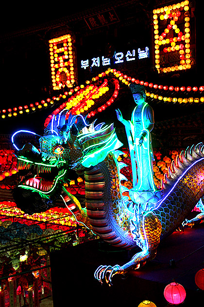 Samgwangsa Under a Blanket of Lanterns 19 Dragon Festival Busan