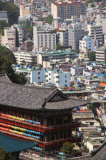 Samgwangsa Under a Blanket of Lanterns 3 Korea Tradition