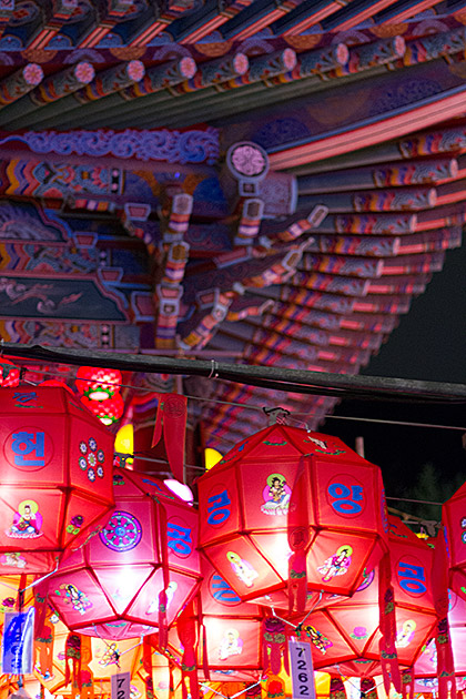 Samgwangsa Under a Blanket of Lanterns 16 Photographer in Korea