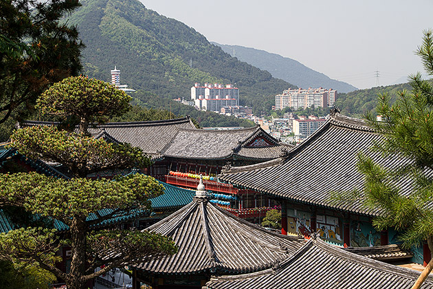 Samgwangsa Under a Blanket of Lanterns 2 Samgwangsa