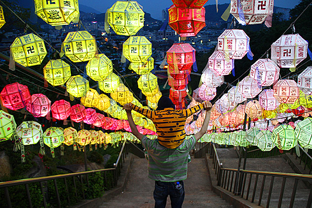 Samgwangsa Under a Blanket of Lanterns 24 Tigger Korea
