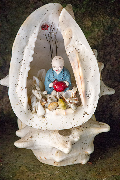Little Buddha Shell
