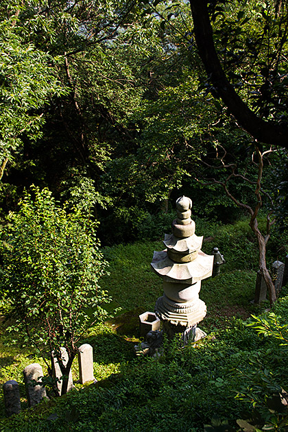 Meditation Busan