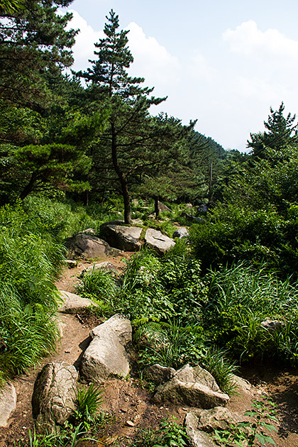 Summer Hike in Korea