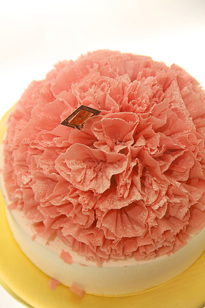 Fancy Cakes
